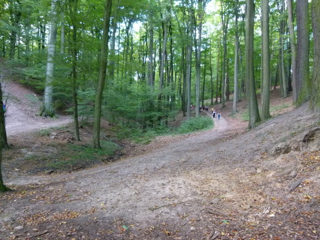 Z kijkami przez gminę Lipno (zdjęcia)