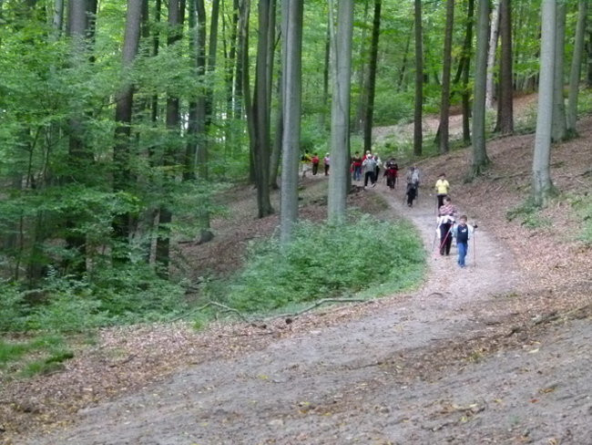 Z kijkami przez gminę Lipno (zdjęcia)