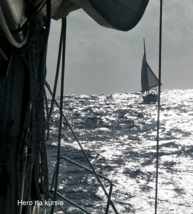 Pozdrowienia z atolu Suworowa (zdjęcia)