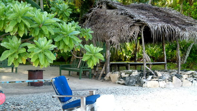 Pozdrowienia z atolu Suworowa (zdjęcia)