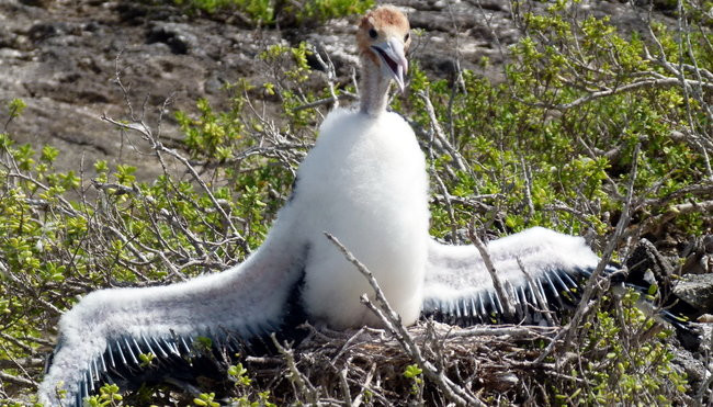 Pozdrowienia z atolu Suworowa (zdjęcia)
