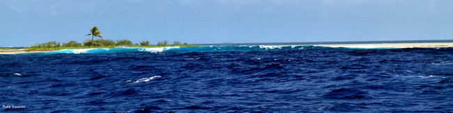 Pozdrowienia z atolu Suworowa (zdjęcia)