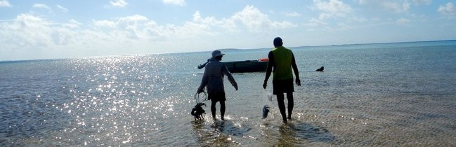 Pozdrowienia z atolu Suworowa (zdjęcia)