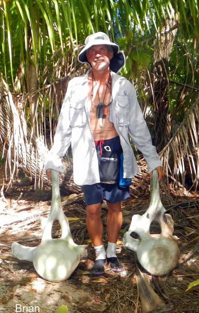 Pozdrowienia z atolu Suworowa (zdjęcia)