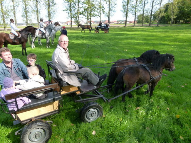 Za lisią kitą w Wilkowicach (zdjęcia)