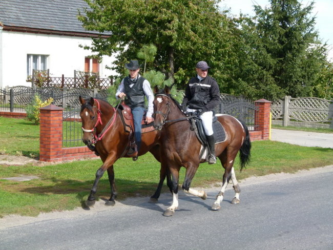 Za lisią kitą w Wilkowicach (zdjęcia)