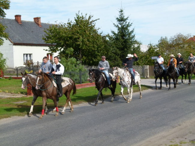 Za lisią kitą w Wilkowicach (zdjęcia)