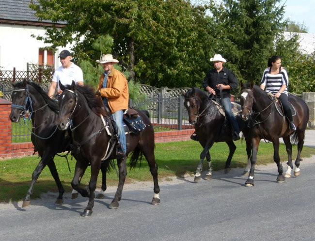 Za lisią kitą w Wilkowicach (zdjęcia)