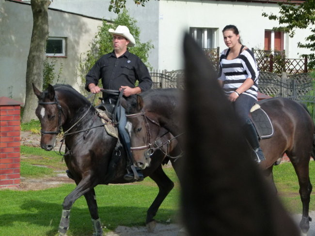 Za lisią kitą w Wilkowicach (zdjęcia)