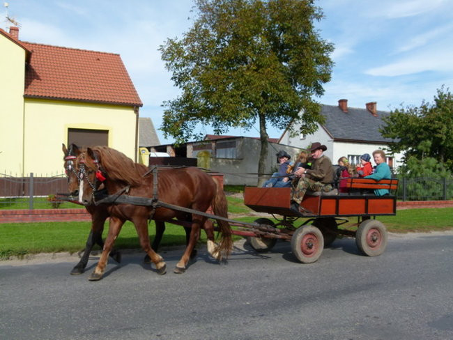 Za lisią kitą w Wilkowicach (zdjęcia)