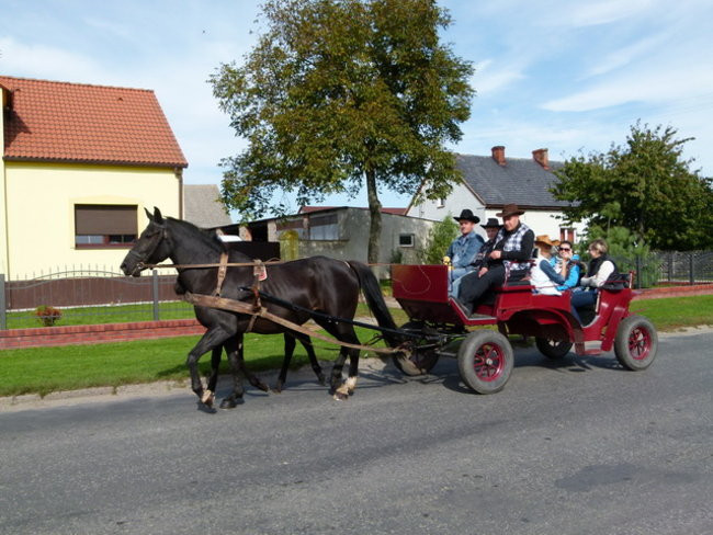 Za lisią kitą w Wilkowicach (zdjęcia)