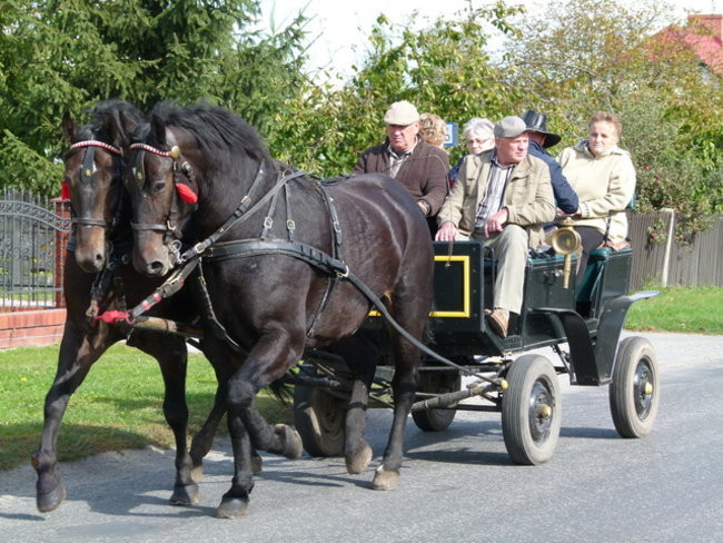Za lisią kitą w Wilkowicach (zdjęcia)
