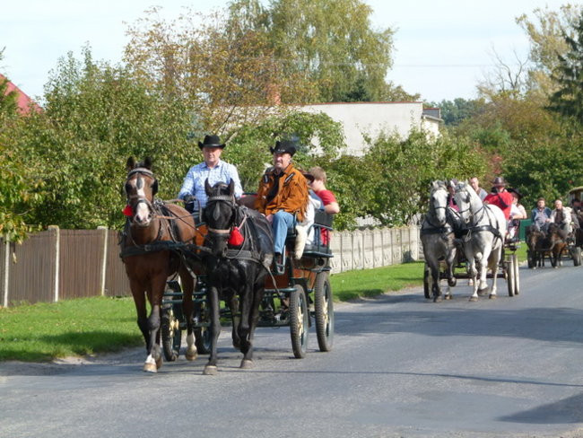 Za lisią kitą w Wilkowicach (zdjęcia)