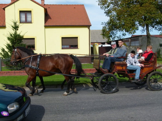 Za lisią kitą w Wilkowicach (zdjęcia)