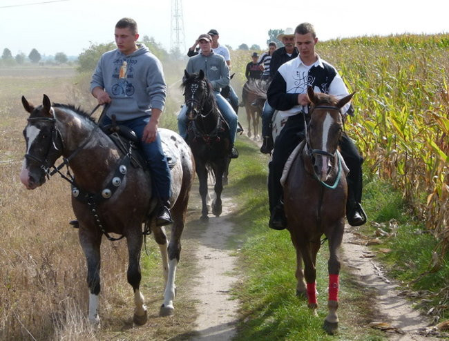 Za lisią kitą w Wilkowicach (zdjęcia)