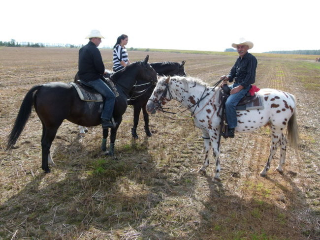 Za lisią kitą w Wilkowicach (zdjęcia)