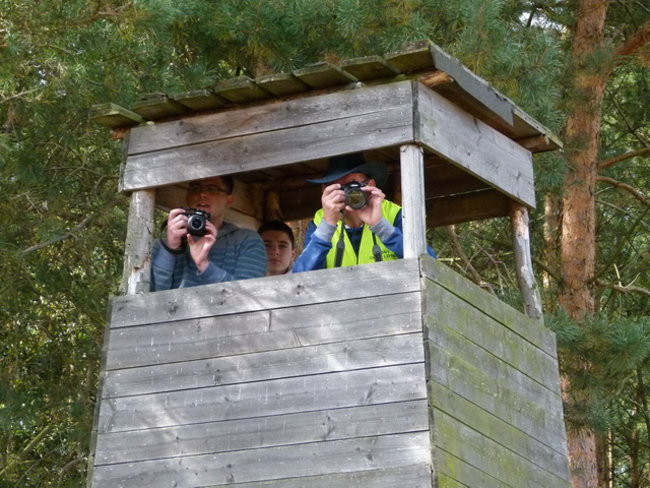 Za lisią kitą w Wilkowicach (zdjęcia)