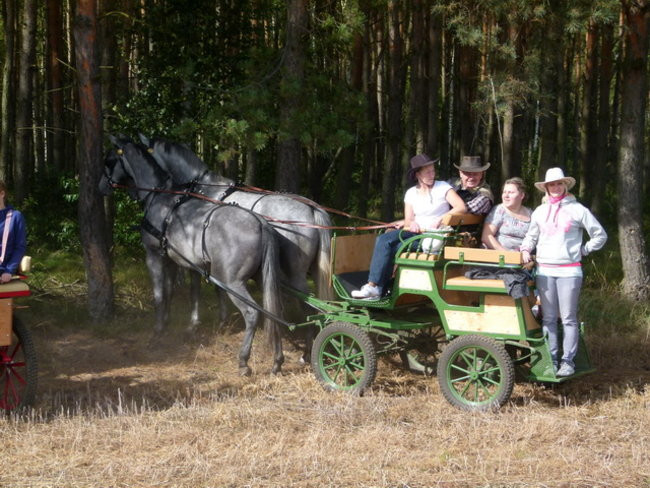 Za lisią kitą w Wilkowicach (zdjęcia)