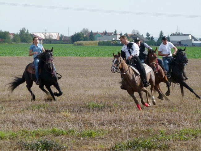 Za lisią kitą w Wilkowicach (zdjęcia)