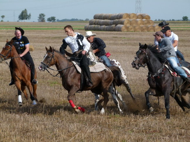 Za lisią kitą w Wilkowicach (zdjęcia)