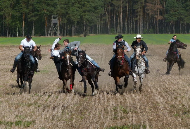 Za lisią kitą w Wilkowicach (zdjęcia)