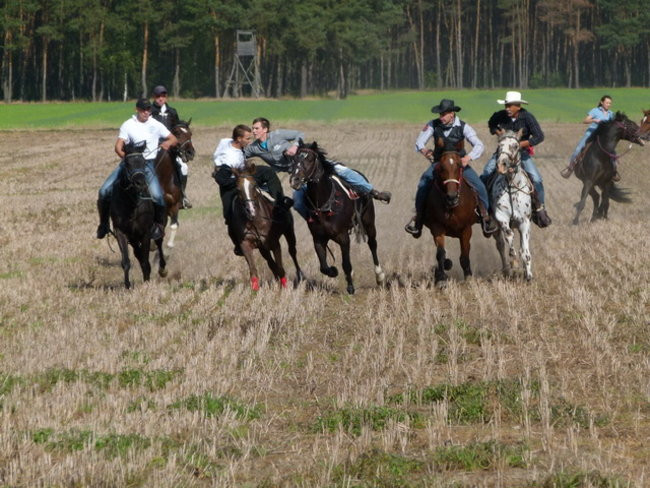 Za lisią kitą w Wilkowicach (zdjęcia)