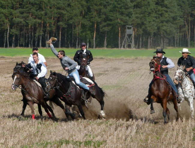 Za lisią kitą w Wilkowicach (zdjęcia)