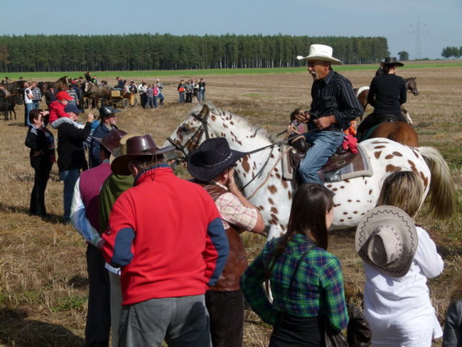 Za lisią kitą w Wilkowicach (zdjęcia)