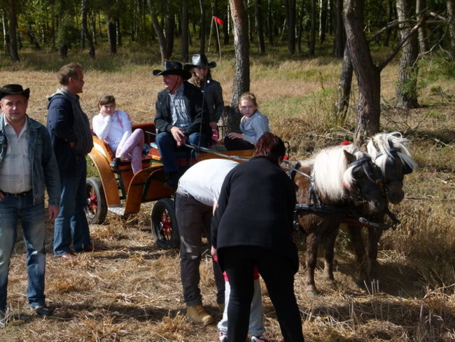 Za lisią kitą w Wilkowicach (zdjęcia)