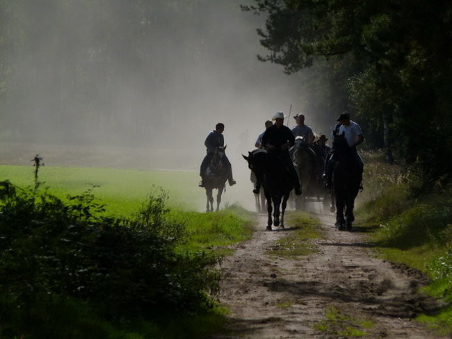 Za lisią kitą w Wilkowicach (zdjęcia)