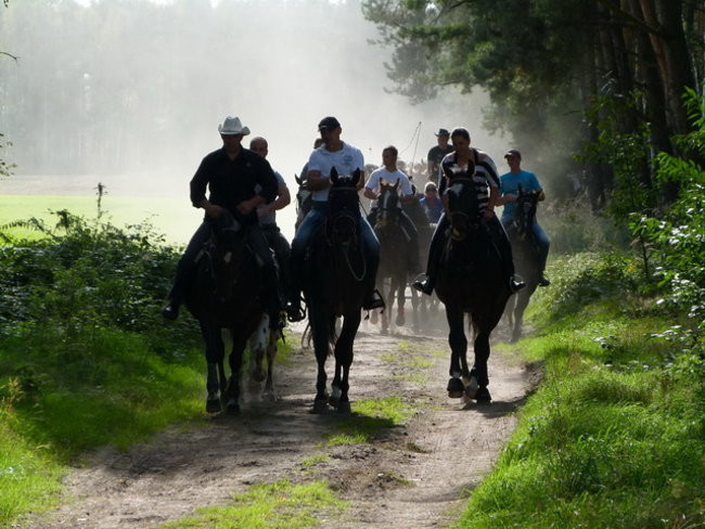 Za lisią kitą w Wilkowicach (zdjęcia)