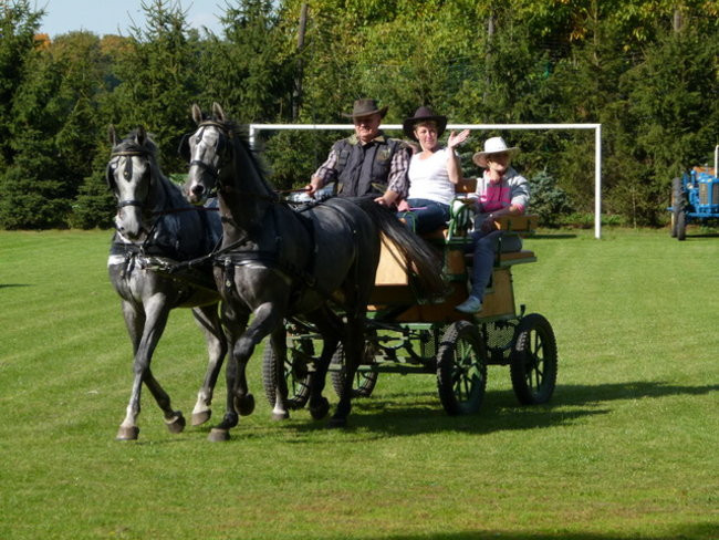 Za lisią kitą w Wilkowicach (zdjęcia)