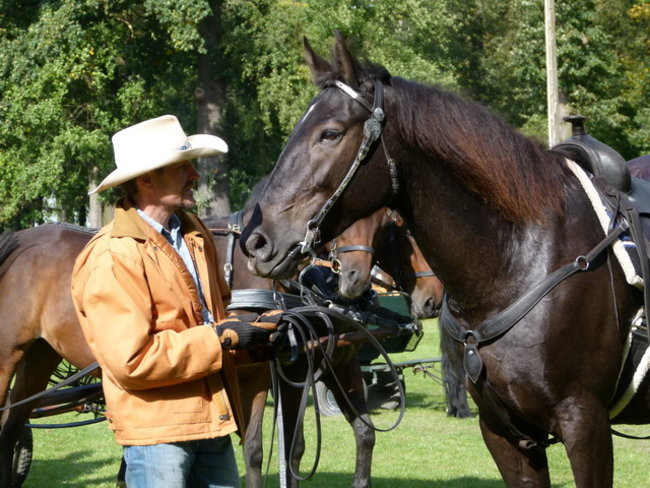 Za lisią kitą w Wilkowicach (zdjęcia)