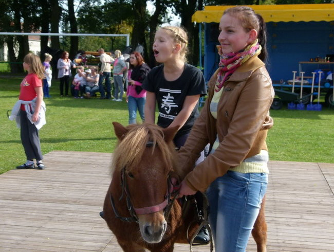 Za lisią kitą w Wilkowicach (zdjęcia)