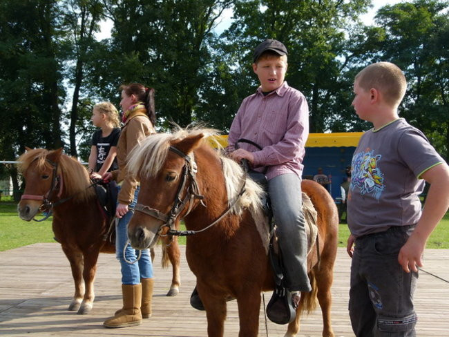 Za lisią kitą w Wilkowicach (zdjęcia)