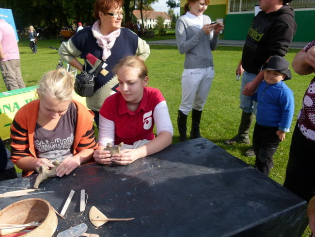 Za lisią kitą w Wilkowicach (zdjęcia)