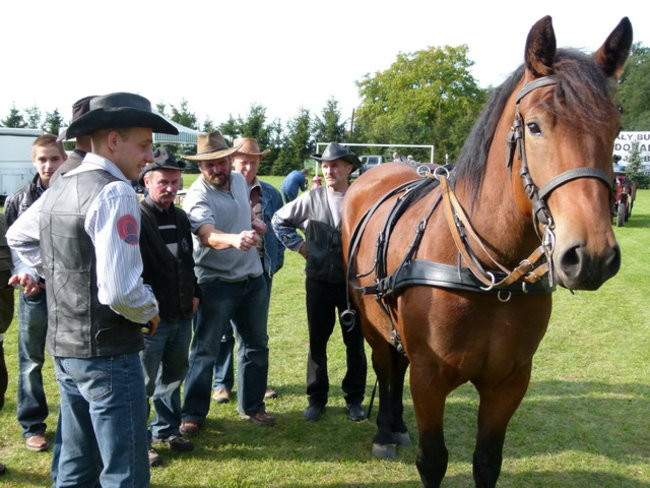 Za lisią kitą w Wilkowicach (zdjęcia)