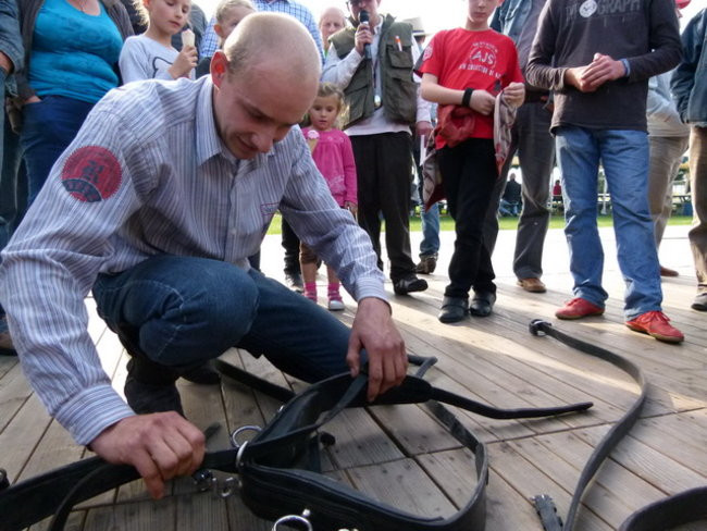 Za lisią kitą w Wilkowicach (zdjęcia)