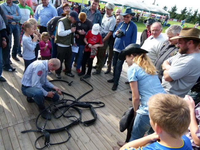 Za lisią kitą w Wilkowicach (zdjęcia)