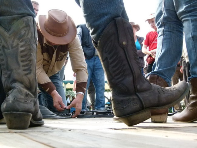 Za lisią kitą w Wilkowicach (zdjęcia)