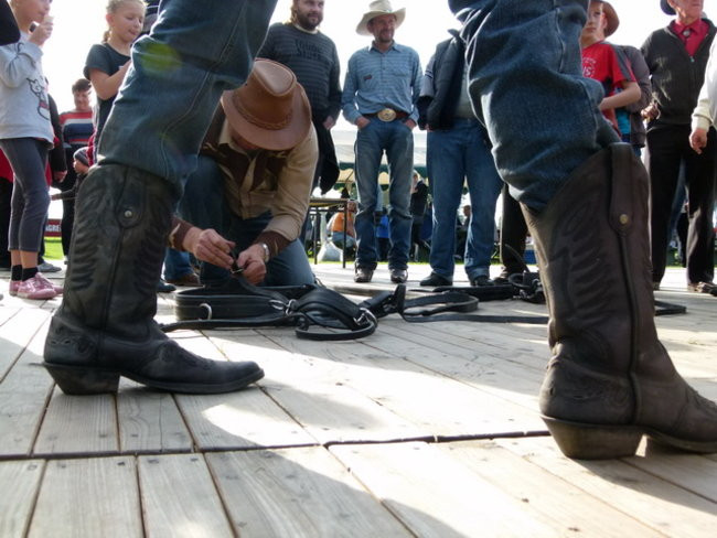 Za lisią kitą w Wilkowicach (zdjęcia)
