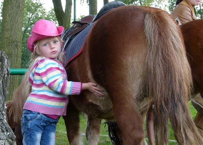 Za lisią kitą w Wilkowicach (zdjęcia)