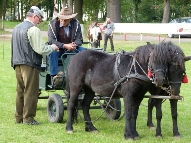Za lisią kitą w Wilkowicach (zdjęcia)