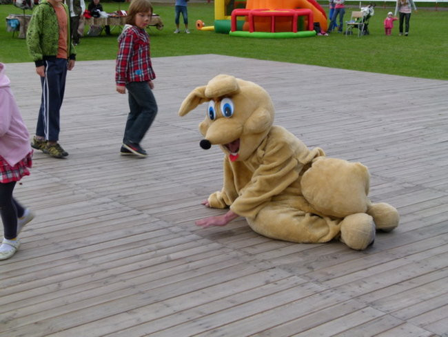 Za lisią kitą w Wilkowicach (zdjęcia)