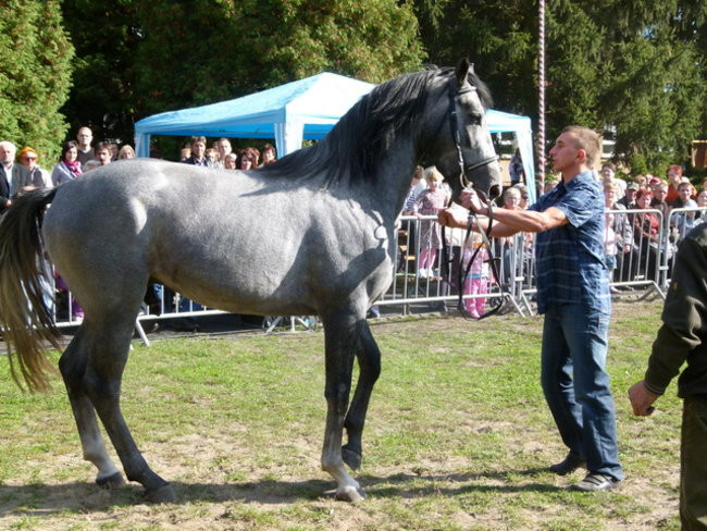 Potrójna impreza w Bukówcu (zdjęcia)