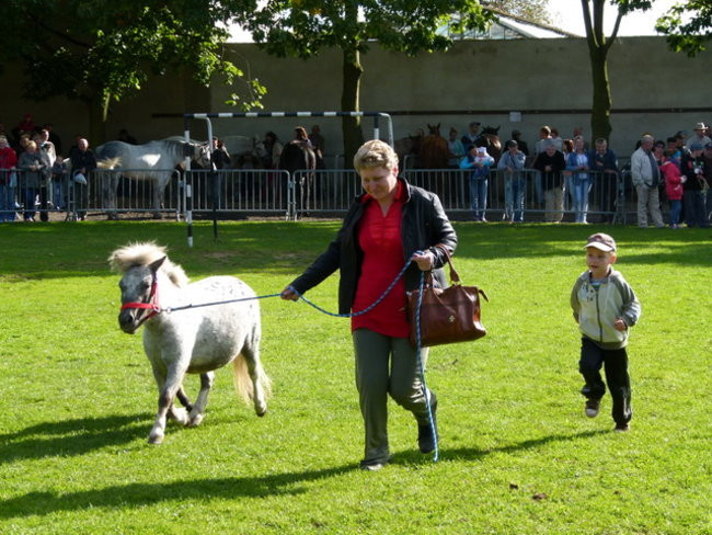 Potrójna impreza w Bukówcu (zdjęcia)