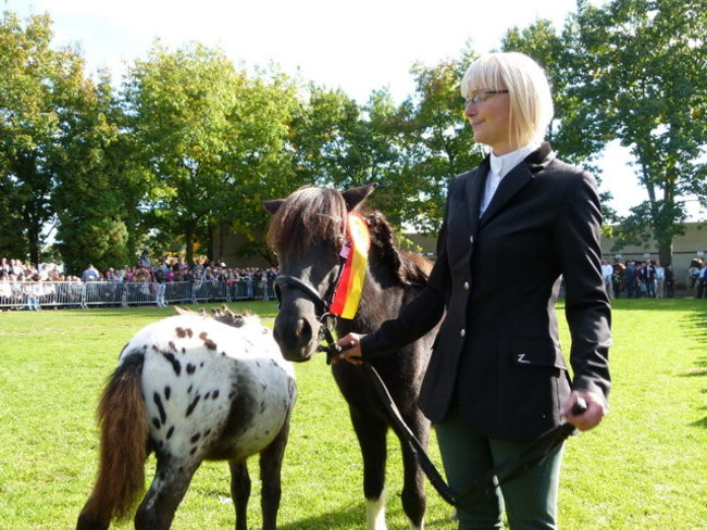 Potrójna impreza w Bukówcu (zdjęcia)