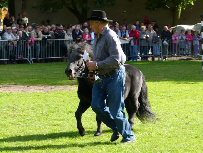 Potrójna impreza w Bukówcu (zdjęcia)