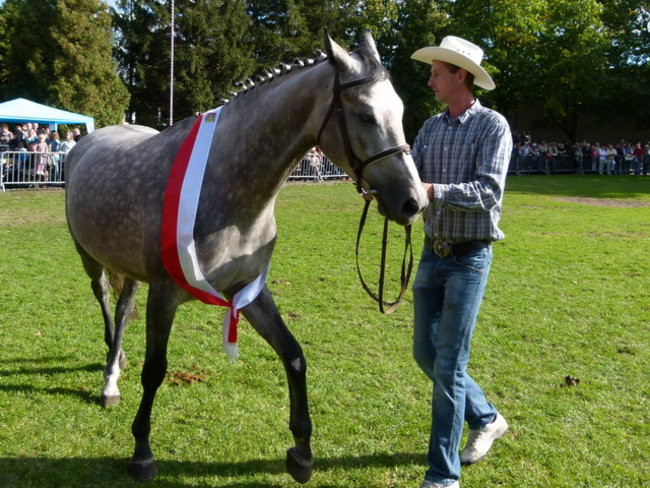Potrójna impreza w Bukówcu (zdjęcia)