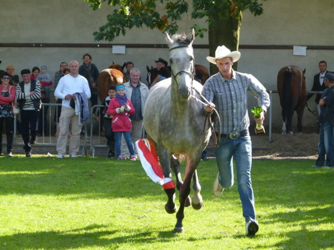 Potrójna impreza w Bukówcu (zdjęcia)
